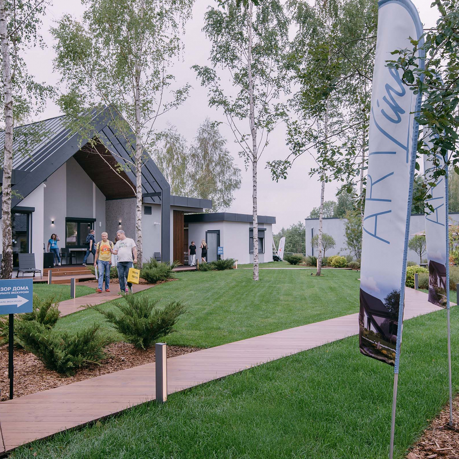Фурор проекта ArtLine на выставке Open Village
