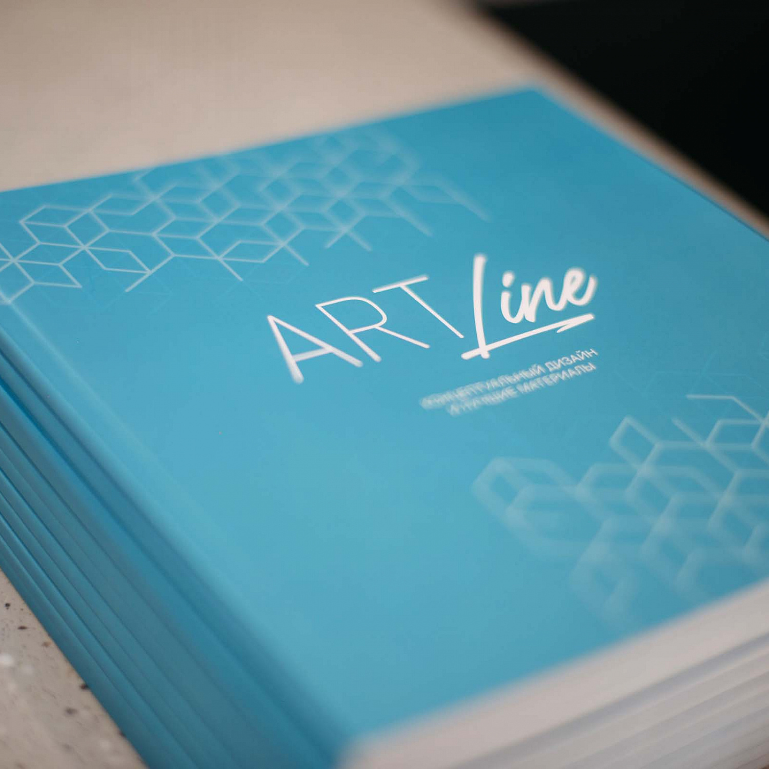 Фурор проекта ArtLine на выставке Open Village